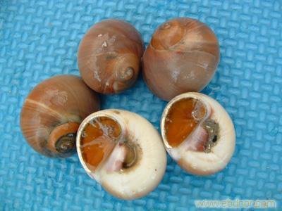 給連云港匯泰食品的連云港水產品留言_產品詢價_詢價留言